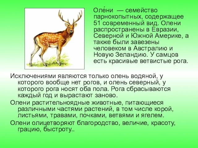 Оле́ни — семейство парнокопытных, содержащее 51 современный вид. Олени распространены в Евразии,