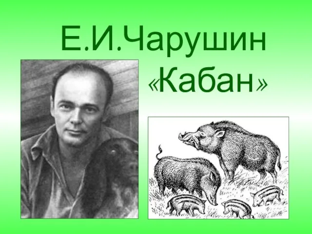 Е.И.Чарушин «Кабан»