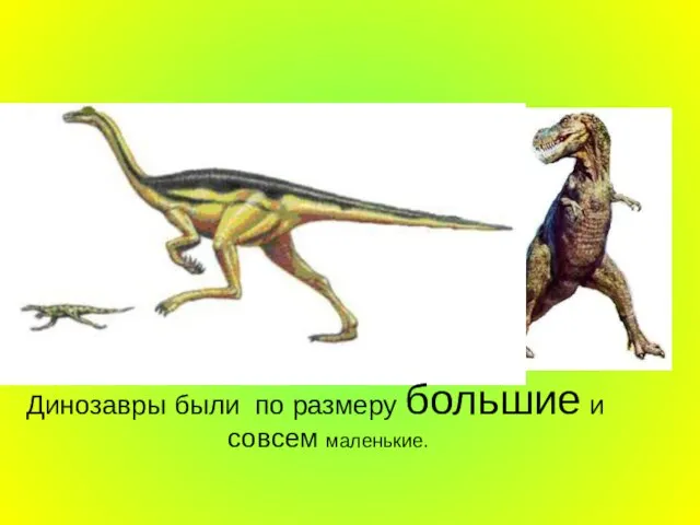 Динозавры были по размеру большие и совсем маленькие.