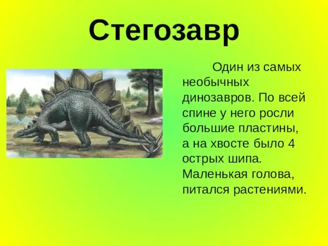 Стегозавр Один из самых необычных динозавров. По всей спине у него росли