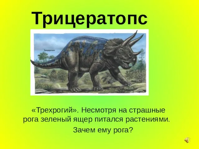 Трицератопс «Трехрогий». Несмотря на страшные рога зеленый ящер питался растениями. Зачем ему рога?