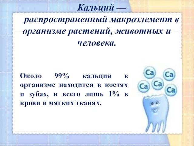 Кальций — распространенный макроэлемент в организме растений, животных и человека. Около 99%