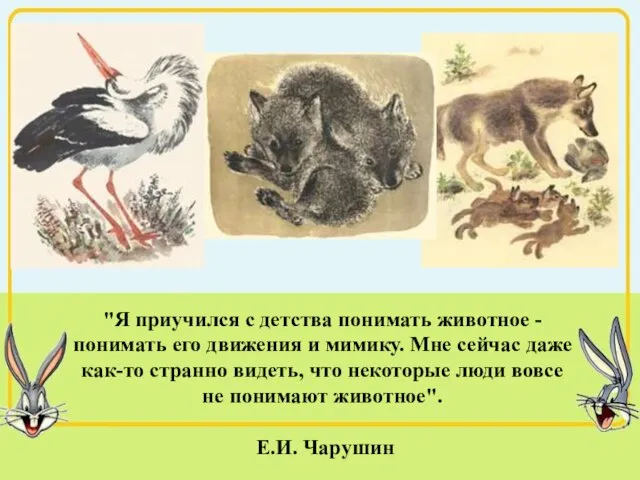 "Я приучился с детства понимать животное - понимать его движения и мимику.