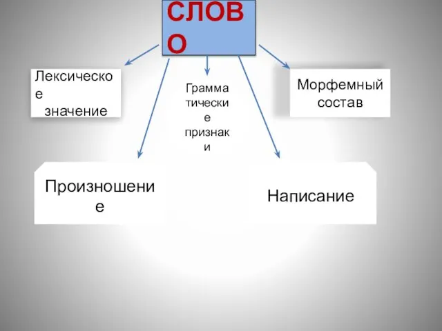 СЛОВО Лексическое значение Грамма тические признаки Морфемный состав Произношение Написание