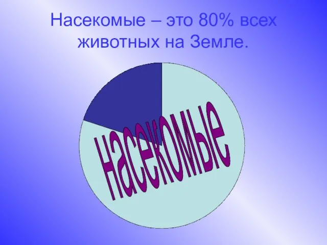 Насекомые – это 80% всех животных на Земле. насекомые