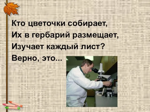 Кто цветочки собирает, Их в гербарий размещает, Изучает каждый лист? Верно, это...