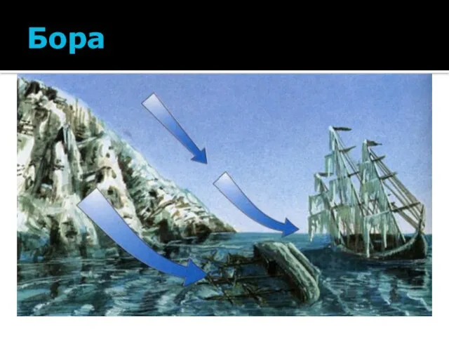 Бора