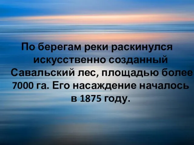 По берегам реки раскинулся искусственно созданный Савальский лес, площадью более 7000 га.