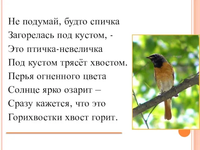 Не подумай, будто спичка Загорелась под кустом, - Это птичка-невеличка Под кустом