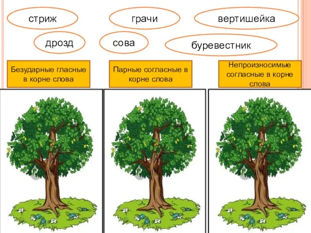 Безударные гласные в корне слова Парные согласные в корне слова Непроизносимые согласные