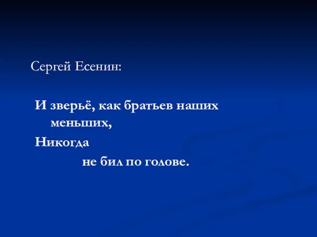 Сергей Есенин: И зверьё, как братьев наших меньших, Никогда не бил по голове.