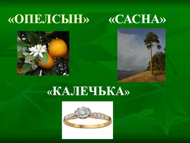 «ОПЕЛСЫН» «САСНА» «КАЛЕЧЬКА»