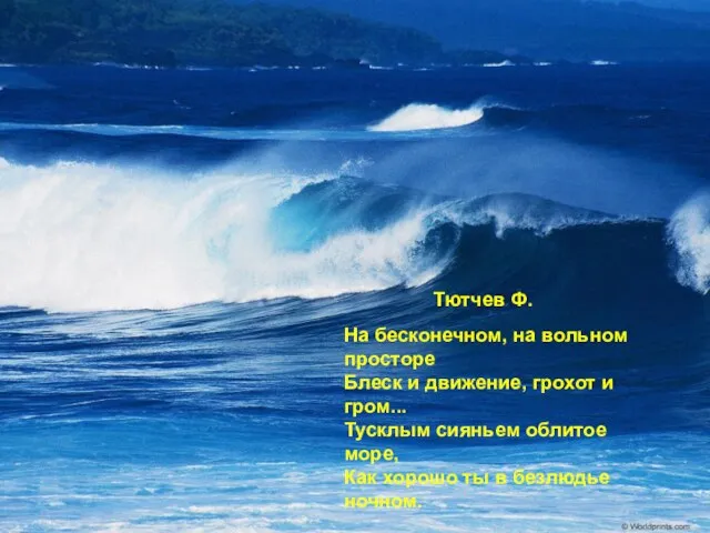 На бесконечном, на вольном просторе Блеск и движение, грохот и гром... Тусклым