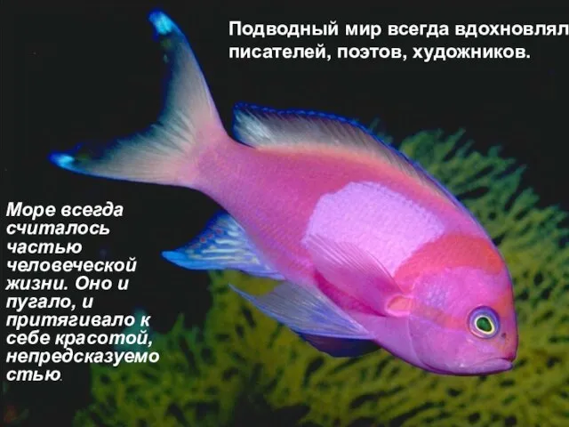 Море всегда считалось частью человеческой жизни. Оно и пугало, и притягивало к