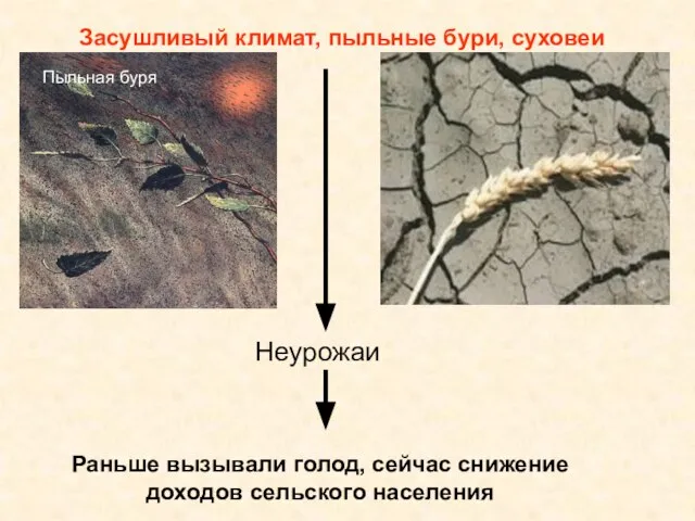 Засушливый климат, пыльные бури, суховеи Неурожаи Раньше вызывали голод, сейчас снижение доходов сельского населения