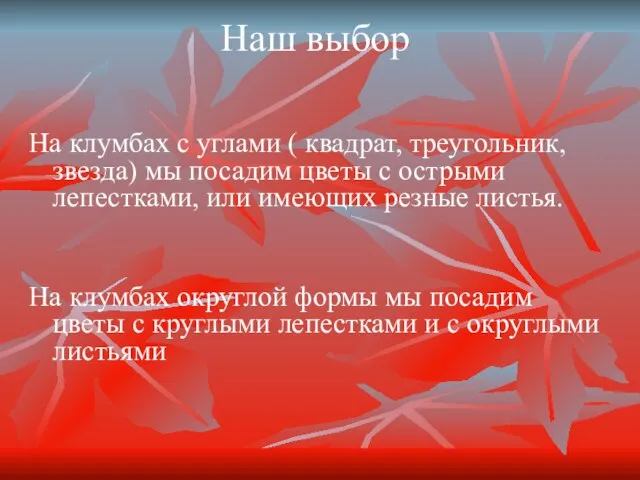 Наш выбор На клумбах с углами ( квадрат, треугольник, звезда) мы посадим