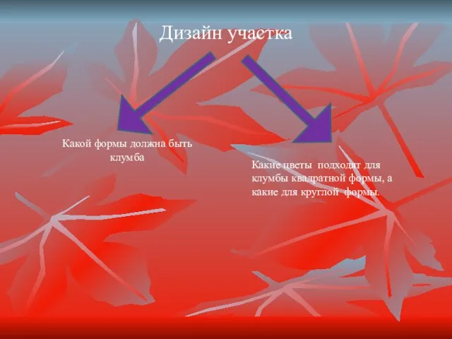 Дизайн участка Какой формы должна быть клумба Какие цветы подходят для клумбы