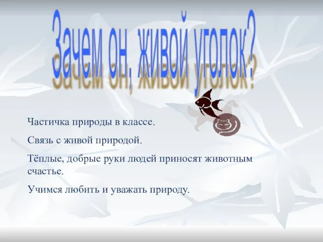 Зачем он, живой уголок? Частичка природы в классе. Связь с живой природой.