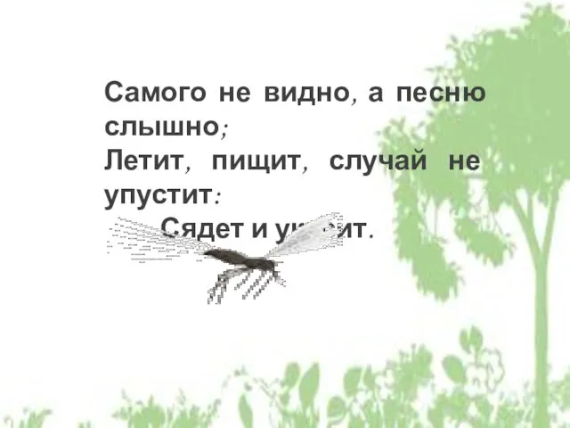 Самого не видно, а песню слышно; Летит, пищит, случай не упустит: Сядет и укусит.