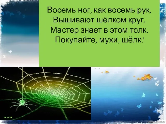 Восемь ног, как восемь рук, Вышивают шёлком круг. Мастер знает в этом толк. Покупайте, мухи, шёлк!