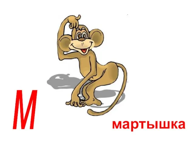 мартышка м