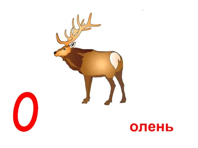 олень о