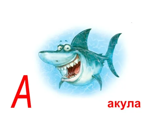 акула А