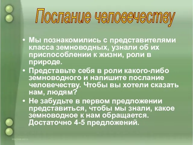 Мы познакомились с представителями класса земноводных, узнали об их приспособлении к жизни,