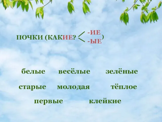 клейкие ПОЧКИ (КАКИЕ? -ИЕ -ЫЕ ) белые зелёные весёлые старые молодая первые тёплое