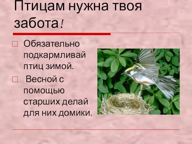 Птицам нужна твоя забота! Обязательно подкармливай птиц зимой. Весной с помощью старших делай для них домики.