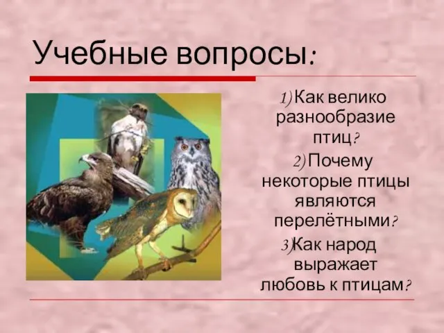 Учебные вопросы: 1) Как велико разнообразие птиц? 2) Почему некоторые птицы являются