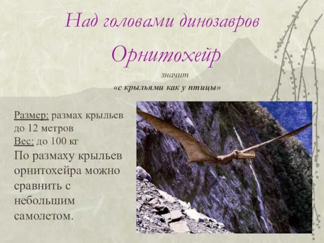 Над головами динозавров Орнитохейр значит «с крыльями как у птицы» Размер: размах
