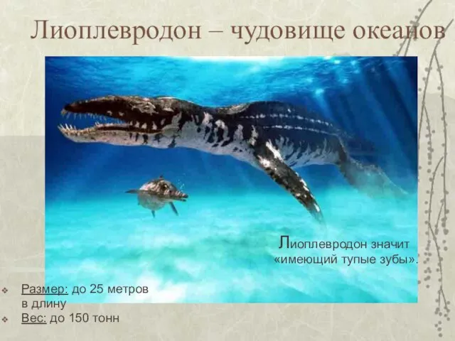 Лиоплевродон – чудовище океанов Лиоплевродон значит «имеющий тупые зубы». Размер: до 25