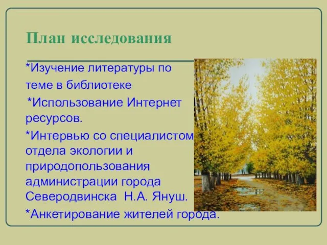 План исследования *Изучение литературы по теме в библиотеке *Использование Интернет ресурсов. *Интервью