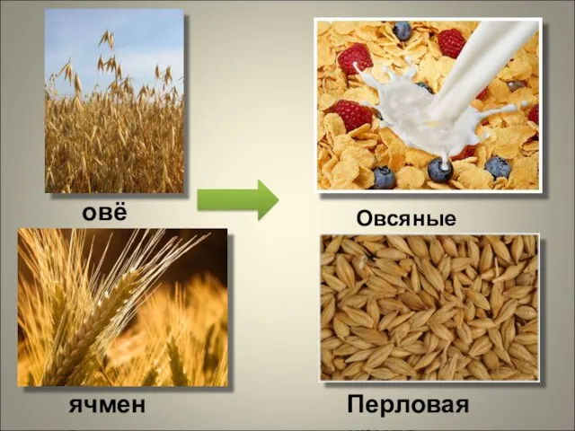 овёс Овсяные хлопья ячмень Перловая крупа