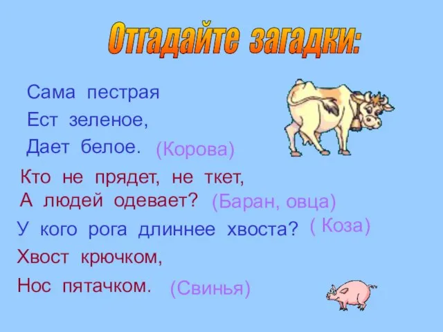 Сама пестрая Ест зеленое, Дает белое. Отгадайте загадки: Кто не прядет, не