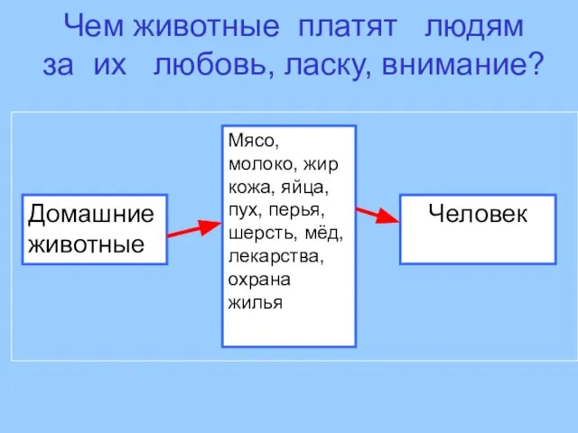 Домашние животные Мясо, молоко, жир кожа, яйца, пух, перья, шерсть, мёд, лекарства,