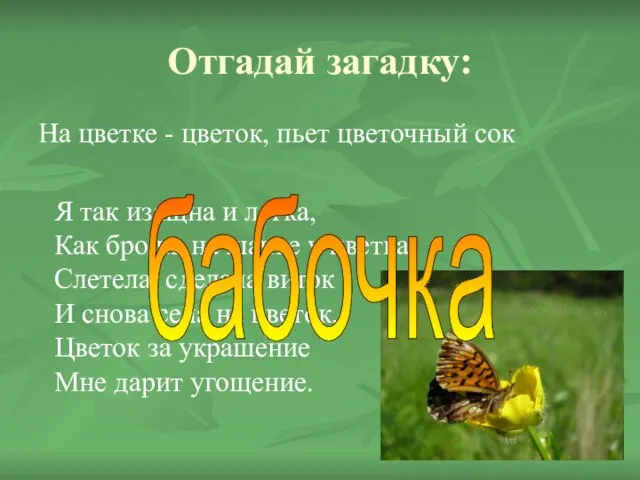 Отгадай загадку: На цветке - цветок, пьет цветочный сок Я так изящна