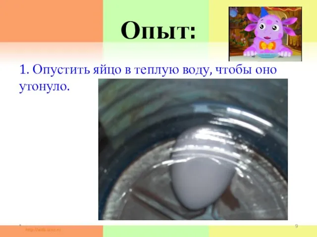 Опыт: 1. Опустить яйцо в теплую воду, чтобы оно утонуло. *