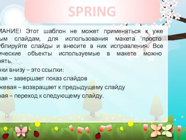 SPRING ВНИМАНИЕ! Этот шаблон не может применяться к уже готовым слайдам, для