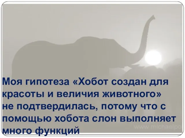 Моя гипотеза «Хобот создан для красоты и величия животного» не подтвердилась, потому