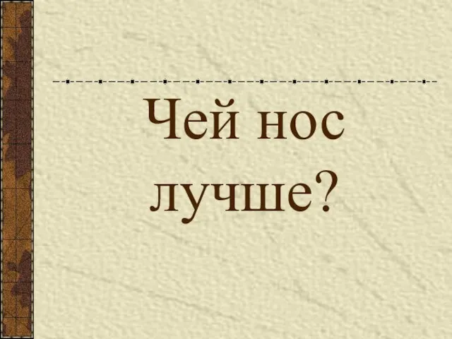 Чей нос лучше?