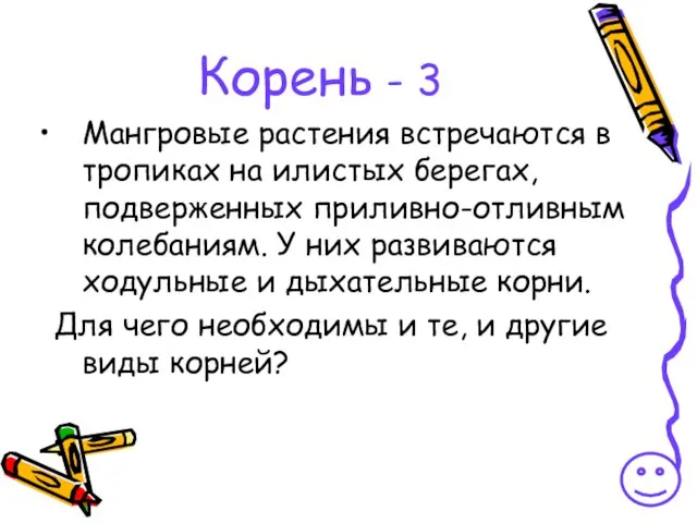 Корень - 3 Мангровые растения встречаются в тропиках на илистых берегах, подверженных