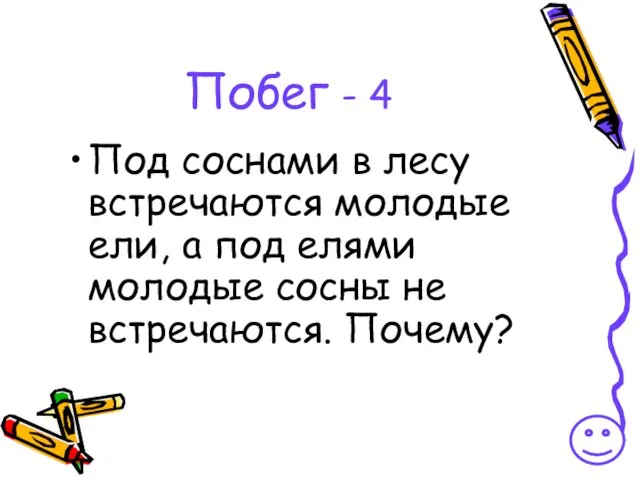 Побег - 4 Под соснами в лесу встречаются молодые ели, а под