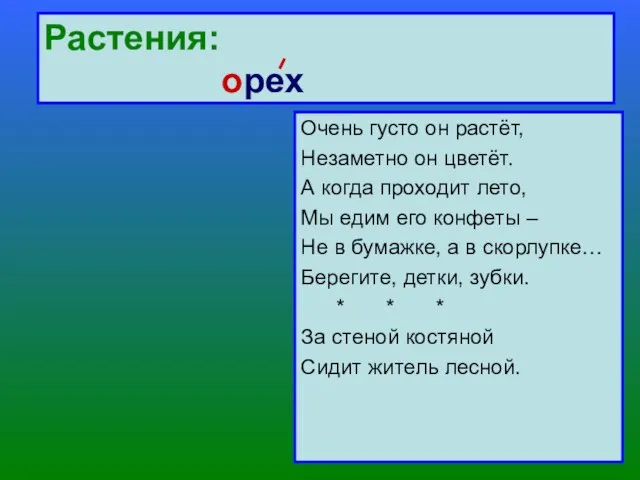 Растения: орех Очень густо он растёт, Незаметно он цветёт. А когда проходит