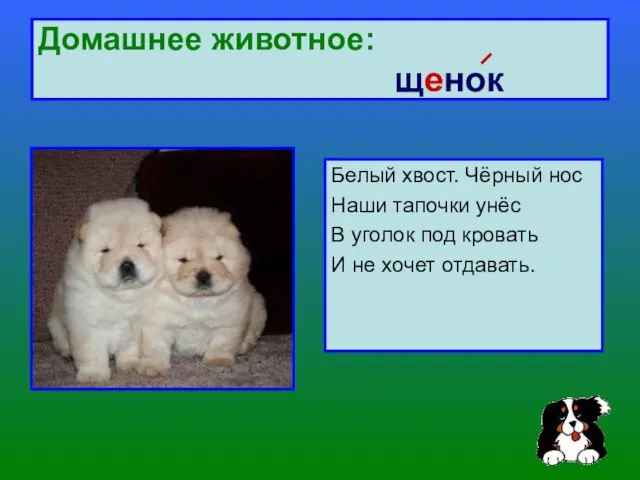 Домашнее животное: щенок Белый хвост. Чёрный нос Наши тапочки унёс В уголок