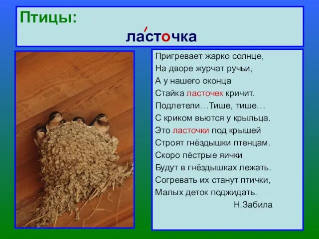 Птицы: ласточка Пригревает жарко солнце, На дворе журчат ручьи, А у нашего