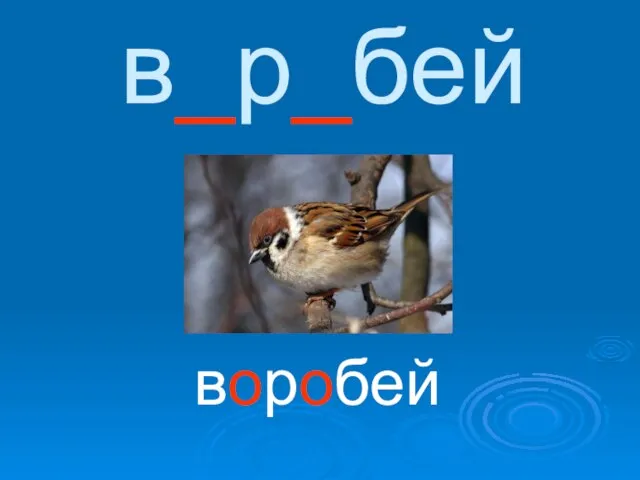 в_р_бей воробей