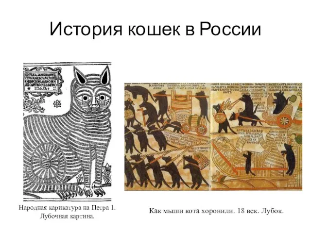 История кошек в России Народная карикатура на Петра 1. Лубочная картина. Как