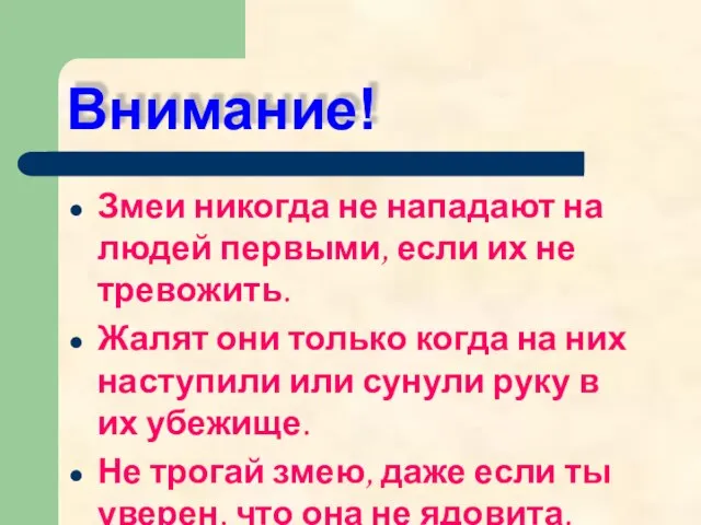 Внимание! Змеи никогда не нападают на людей первыми, если их не тревожить.